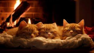 Fall asleep to Family Cat's Purr & Warm Fireplace  Relax in Cozy Winter Hut, Deep Sleep