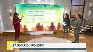 Retorikerns bästa knep: Så får du mer pondus - Nyhetsmorgon (TV4)