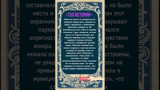 Топ история #ещенезадорнов #историиизжизни #истории