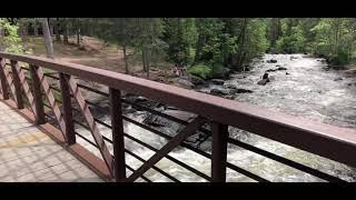 Rushing River and Quetico