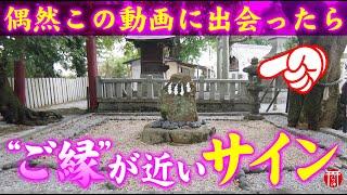 【️強制開運】※見たら1分以内に再生して下さい️もし逃したら二度とありません※呼ばれた人しか辿り着けない最強開運パワースポット️福岡県曩祖八幡宮【遠隔参拝】【リモート参拝】