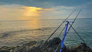 Rock fishing Anglesey - I have never seen so many fish!