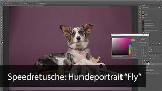 Speedretusche: Hundeshooting mit Fly