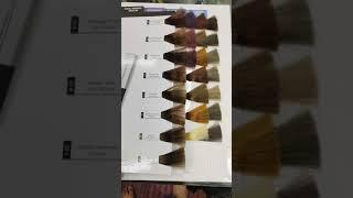 Loreal Professional Hair Colour Shades || Loreal Shade Card All Shades