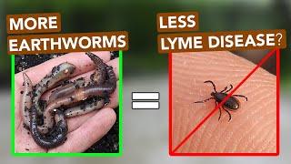 More Earthworms = Less Lyme Disease?