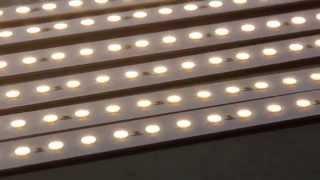 Pro-Series 21 LED Super Deluxe Kit | Inspired LED