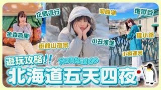 日本北海道怎麼玩？五天四夜旅遊攻略！行程一次看支芴湖、地獄谷、尼克斯海洋公園、金森倉庫、小丑漢堡、函館山、函館朝市、洞爺湖、小樽運河、札幌、登別！｜荒姨