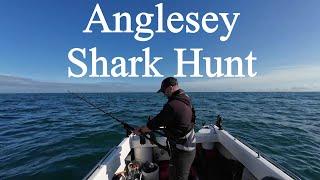 Anglesey Shark Hunt - Solo On My Warrior 165 - Small Boat Sea Fishing