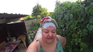 ДАЧНЫЙ ВЛОГ/ОТГОЛОСКИ ШТОРМА ИЗ ПАВЛОДАРА/ СЛОМАЛО ЯБЛОНЮ/КУХНЯ ГОТОВА/МОЕМ БАССЕЙН/ОПЯТЬ СЕЮ ЗЕЛЕНЬ