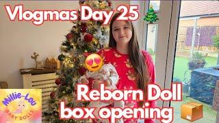 Vlogmas Day 25 - Reborn Doll Box Opening   