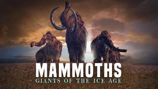 Surprising Truths About Mammoths: From Ice Age To Cloning Dreams