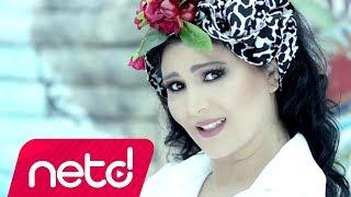 Ayşe Dinçer - Senden Koca Olmazmış