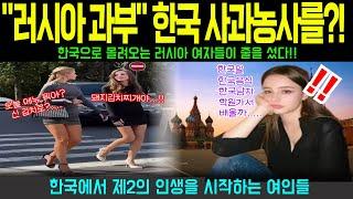 [ 해외감동사연 ] "상처입은 영혼의 피난처! 강원도 사과농장에서 새 인생을 찾은 러시아 미망인의 눈물나는 성공 스토리"