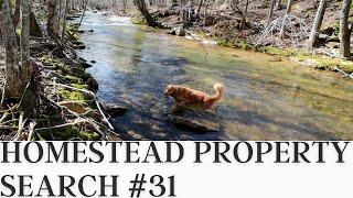 Homestead Property Search in Western North Carolina | Property Search Vlog #31