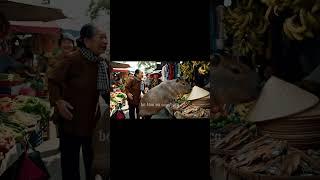 Capybara cùng bà ra chợ mua quần áo  #capybara #haihuoc #batamvacapybara