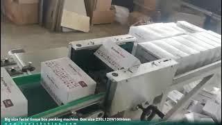 Box facial tissue packing machine, facial tissue cartoner, facial tissue box packing machine