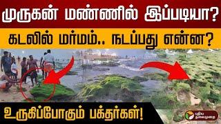 முருகன் மண்ணில் இப்படியா? கடலில் மர்மம்.. நடப்பது என்ன ?  உருகிப்போகும் பக்தர்கள்! | Thiruchendur