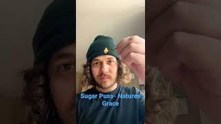 Sugar Puss- Natures Grace