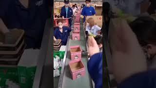 Есть фабрики, где именно так и проходят рабочие будни  #китай #фабрики #ecbbz #easychina