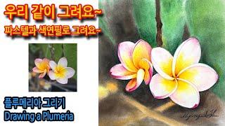 466회) 플루메리아 그리기Drawing a Plumeria#티노씨실시간 #그림독학 #drawing #꽃그리기