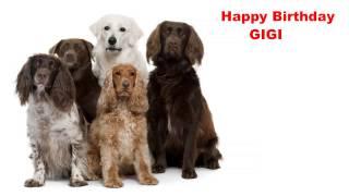 Gigi - Dogs Perros - Happy Birthday