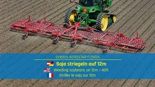 Weeding soybeans on 12m / 40ft with a premium tined weeder in the US | AEROSTAR-FUSION by Einböck