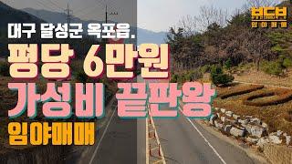 [임야매매 ep01] 대구임야 평당6만원 가성비 진짜 좋은 임야매매 / 2차선 도로접 / 접근성 매우 좋음 / 임야, 토지, / 달성군 옥포읍 반송리