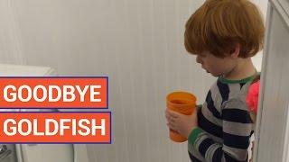 Little Boy Says Last Words to Goldfish | Daily Heart Beat