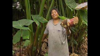 Pohnpei and their Traditional Foods