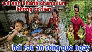 Anh Chanh lùn phải đi hái rau để có đồ ăn cho bữa cơm