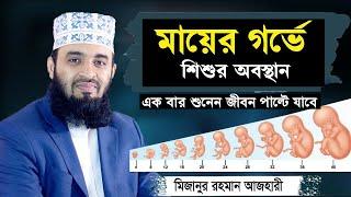 জেনে নিন কীভাবে সন্তান হয়। মায়ের গর্ভে শিশুর অবস্থান। মিজানুর রহমান আজহারী | Mizanur Rahman Azhari