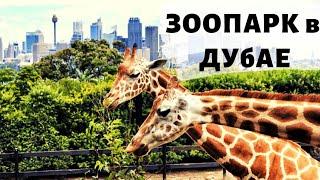 Сюда нужно всем! Сафари парк и зоопарк в Дубае/Safari park Dubai.