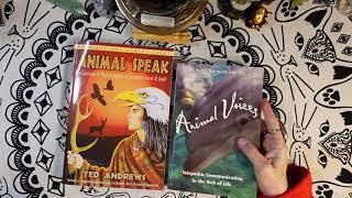 2*4*U BOOK REVIEW! ANIMAL SPEAK & ANIMAL VOICES - ENJOY A  SHAMANIC DIALOGUE WITH THE ANIMAL KINGDOM