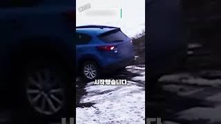 엄청난 순발력으로 작은 친구를 구한 용감한 보더콜리