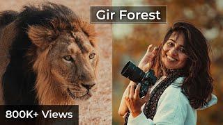 મારી નજરે ગુજરાત । ગીર જંગલ  | Gir Forest | Mari Najare Gujarat | Aditi Raval | Asiatic Lion