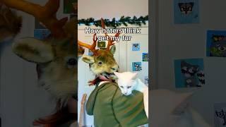 How haters think I get my fur#therian #therianmask #theriancrafts #yaelokre #harpyhare #quadrobics