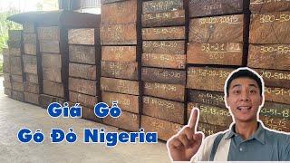 Báo Giá Gỗ Gõ Đỏ Nigeria Gỗ Gõ Đỏ Pachy Loại Nào Tốt Hơn Để Làm Án Gian Thờ Nội Thất Phòng Thờ