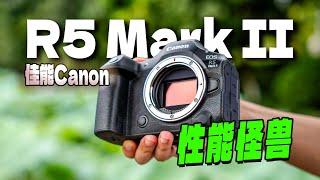 影像狗 | AI加持、最强对焦？佳能EOS R5 Mark II全面测评