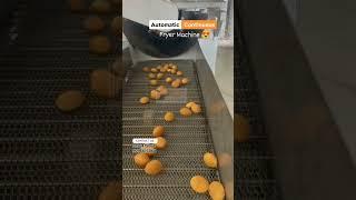 Automatic panipuri fryer machine | Panipuri  Fryer machine |panipuri machine |Panipuri Fryer #shorts