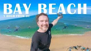 This Bay Beach An Hour From DC Is Mini Paradise | Flag Ponds Nature Park