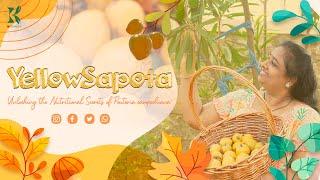 "Unwrapping the Yellow Sapota: Unlocking the Nutritional Secrets of Pouteria campechiana"