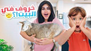 فاجأت زوجي في العيد وجبت خروف على البيت | ماتوقع!! 