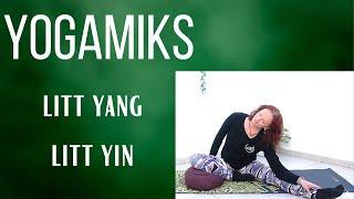 YOGA - LITT YANG OG LITT YIN (Yoga for nybegynnere)