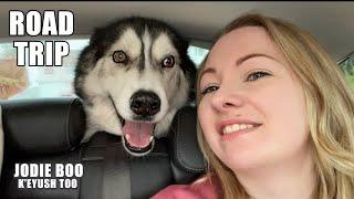 K'eyush Road Trip to Sussex Full Vlog