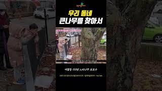 우리동네 큰나무를 찾아서 #부천마을미디어 #뜰작tv