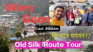 NJP to Sillery Gaon |Beautiful Offbeat Village in Kalimpong |সিল্লেরি গাঁও | East Sikkim Tour-Part 1