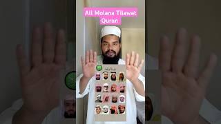 All Molana Tilawat e Quran | Daily Recitation #qurantilawat #yoytubeshorts #shorts