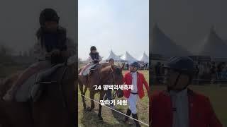 무료 말타기 체험 #평택체험 #평택억새축제 #브이로그