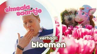 BLOEMEN  | SIMSALA SAARTJE  | Educatieve kleutertelevisie | Tulpenbol