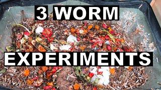 Worm Farmers REJOICE! 3 Insane Experiments You Need to Try NOW!